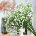 Gypsophile Artificielle